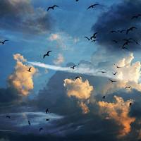 老年人喜欢用的微信头像_微信头像-me个性网