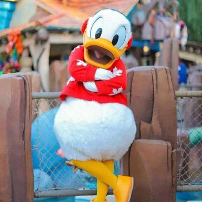 真人唐老鸭头像图片大全,可爱头像图片