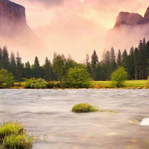 顺其自然197980的个人主页 - 西瓜视频