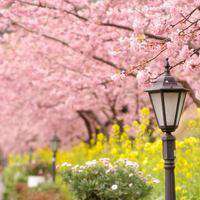 有生之年狭路相逢唯美风景静物头像_微信头像图片大全