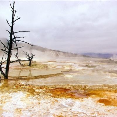 美国黄石国家公园自然风景qq微信头像图片-唯美头像