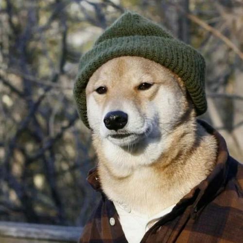 微信头像 超好看