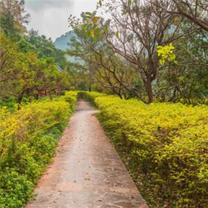 微信头像自然风景图片大全微信头像自然风景图片