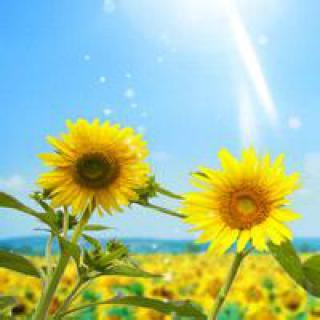 2018正能量微信头像_第1页