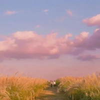 微信头像花秋天的风景 好看唯美秋天风景微信头像 (5)