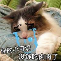 群头像搞笑带字图片 (3)