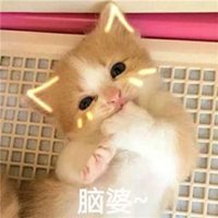 群头像搞笑带字图片 (5)