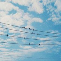 群头像大全青春2018 (6)