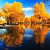 甘肃头像 最具特色甘肃风景头像 (11)