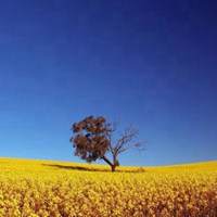 天气晴朗的日子风景 (7)