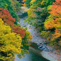 最美山间田野自然风景头像 (2)