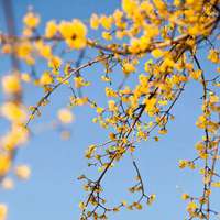 最美山间田野自然风景头像 (5)