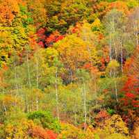 最美山间田野自然风景头像 (6)