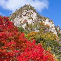 最美山间田野自然风景头像 (12)