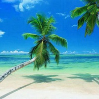 海南头像 最具特色海南风景头像 (1)