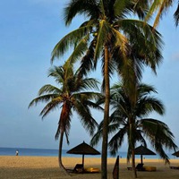 海南头像 最具特色海南风景头像 (10)