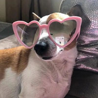 适合仙气女生的一组沙雕墨镜风格头像 (9)