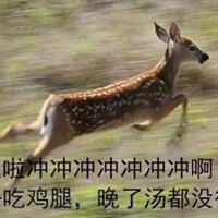 开饭了图片搞笑 (19)