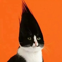 少见的，沙雕小头像，活出自我 (2)