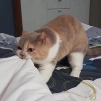 一组有关小孩子的沙雕头像 (4)