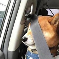 一组有关小孩子的沙雕头像 (5)