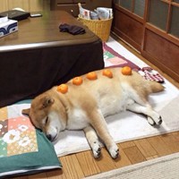 沙雕头像//明明就是不爱，你只是不承认 (10)