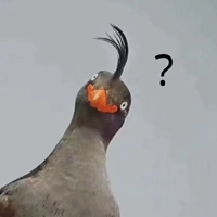 这种沙雕男友风的搞笑头像 (12)