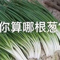 怼人骂人经典沙雕表情图 (4)