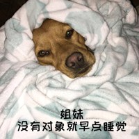 怼人骂人经典沙雕表情图 (13)