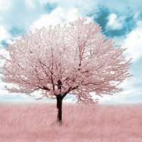 侧脸微笑高清女生头像_微信头像图片大全