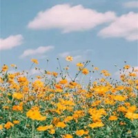 分享一波我觉得很好看的唯美风景壁纸头像 (10)