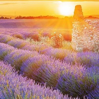 分享一波我觉得很好看的唯美风景壁纸头像 (11)