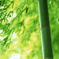 简约唯美景色//你喜欢的风格都有 (15)