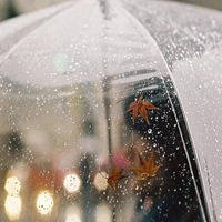 下雨天的唯美图片 最美不过下雨天 (9)