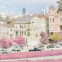 莫兰迪色系唯美意境头像//到心坎里 (12)