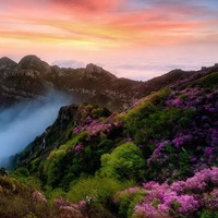 简单的花朵+风景//唯美//好看 (12)