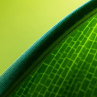 非常清新宜人清爽壁纸头像，太喜欢了 (12)