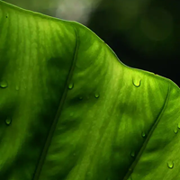 非常清新宜人清爽壁纸头像，太喜欢了 (13)