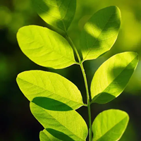 非常清新宜人清爽壁纸头像，太喜欢了 (15)