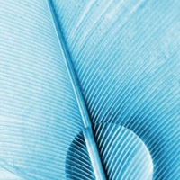 小清新风景景色头像 (14)