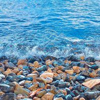 简单的小清新风景 (1)