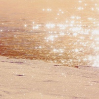 简单的小清新风景 (3)