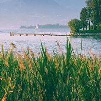 简单的小清新风景 (9)