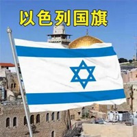 以色列国旗头像高清 以色列国旗旗帜头像 (18)