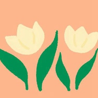 文艺范儿的小清新简约郁金香花 (13)