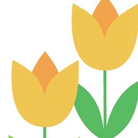 文艺范儿的小清新简约郁金香花 (15)