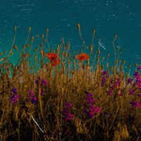 复古油画色调带仙气的花卉头像 (2)