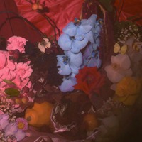 复古油画色调带仙气的花卉头像 (14)