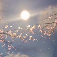 浪漫小清新花朵个性头像//清新+素静 (2)