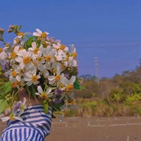 喜欢春夏秋冬 花朵锦荣 小清新花朵 (11)